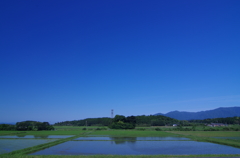 青空と田んぼ