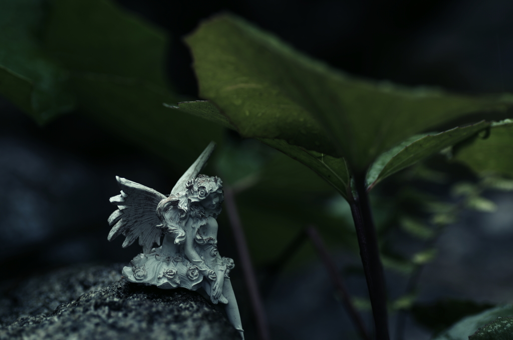 天使の憂鬱