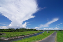 夏道