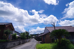 田舎の夏