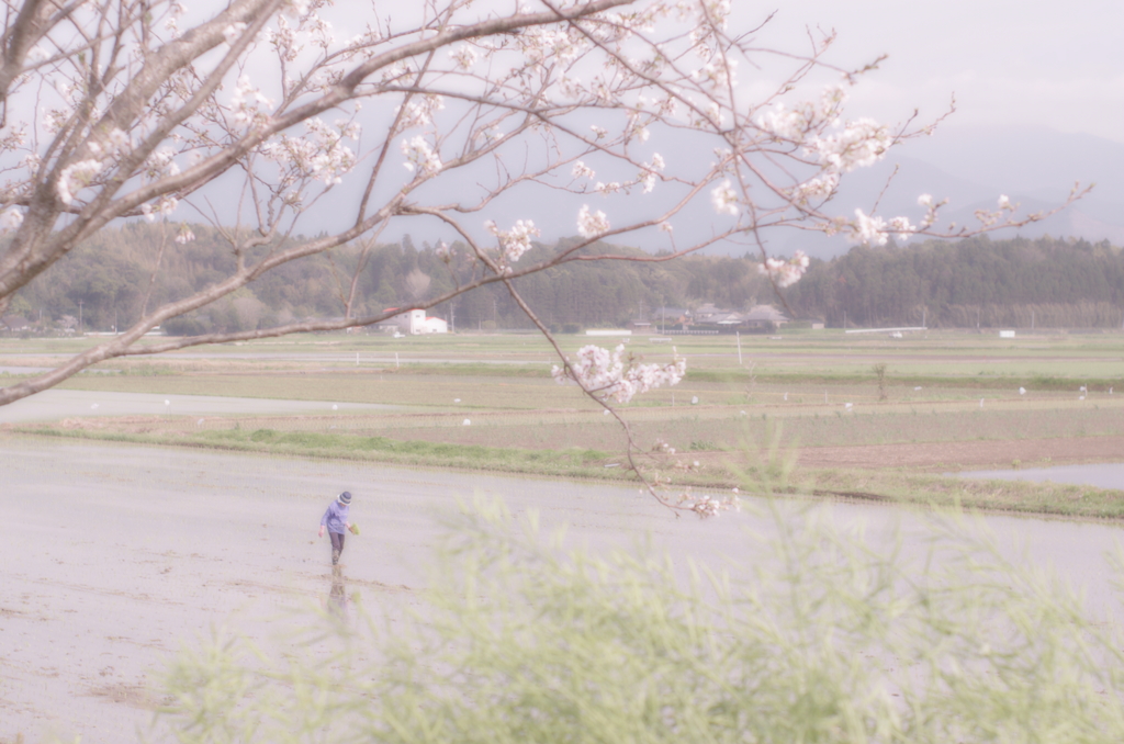 里の春
