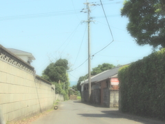 夏路地