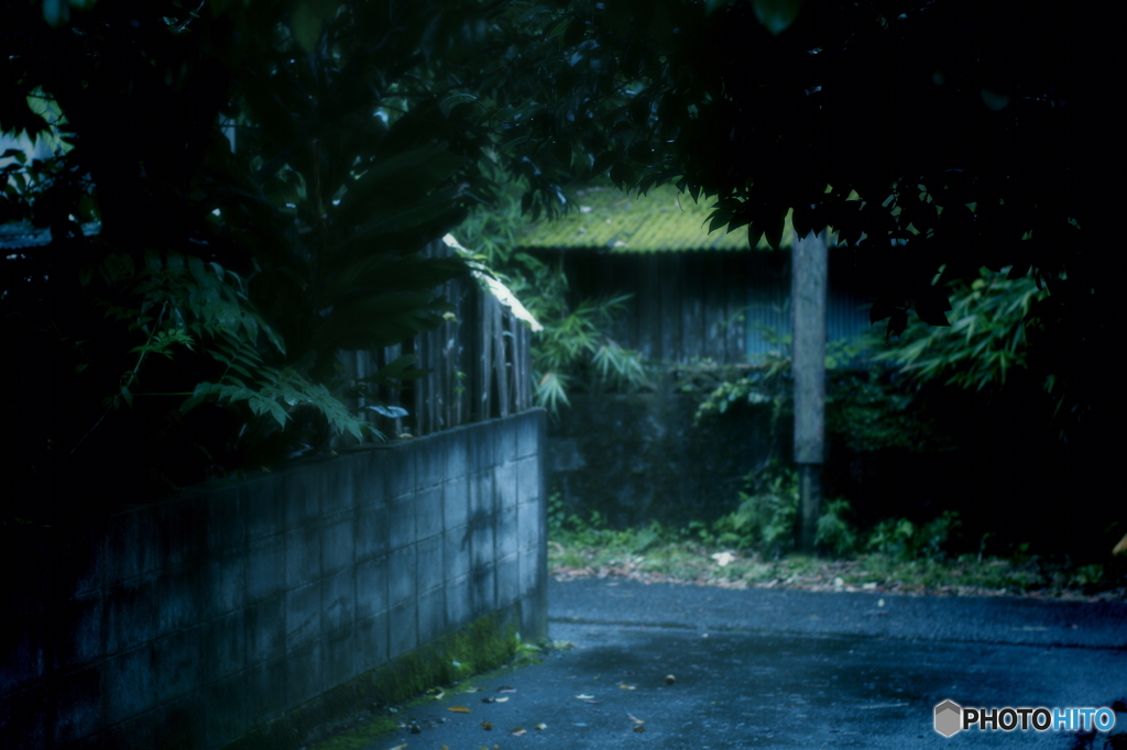 雨宿り