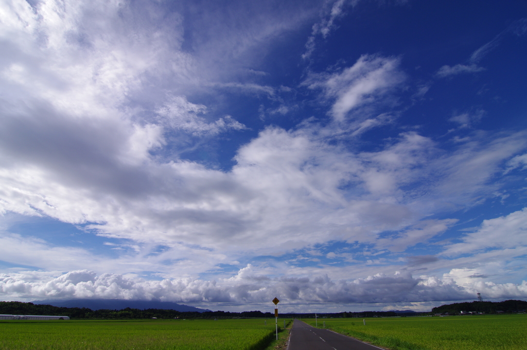 私の夏空日記