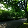 早朝散歩のすすめ