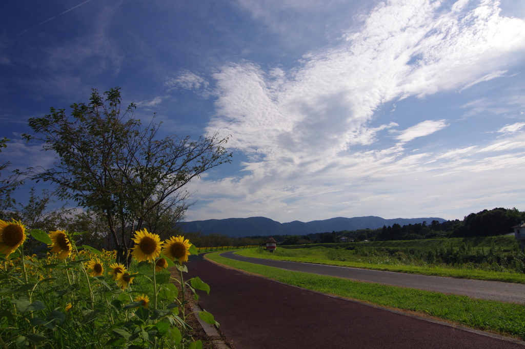 夏の日の散歩　その３
