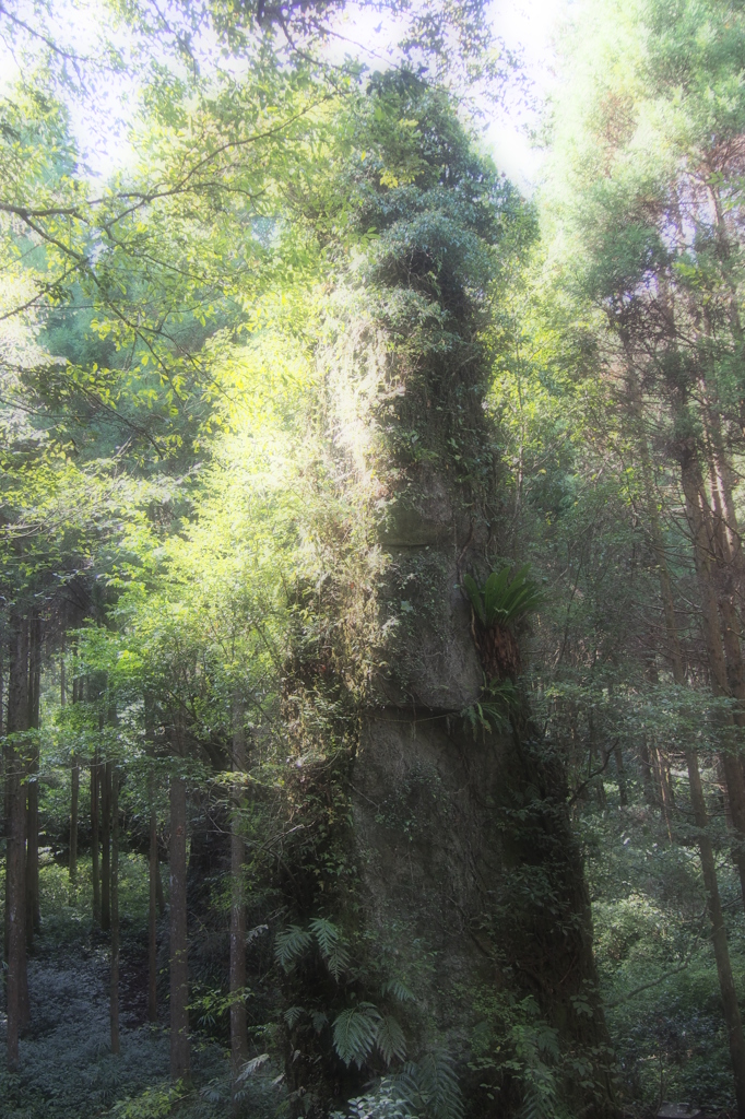 立神