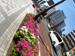 故意に傾斜をつけた街並み