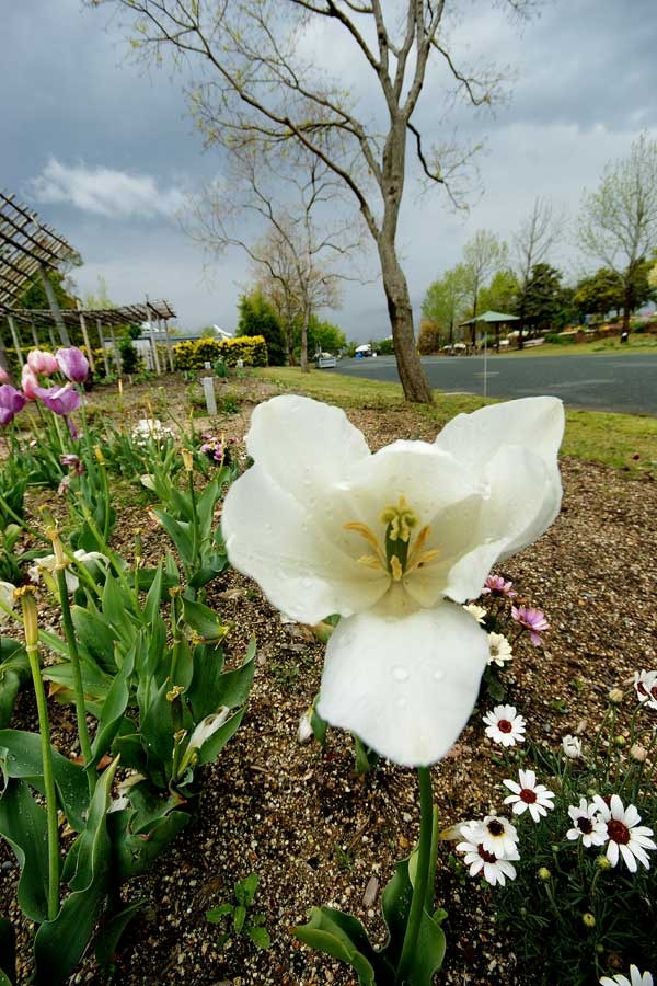 浜名湖ガーデンパークの花