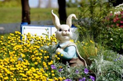 浜名湖ガーデンパークの花