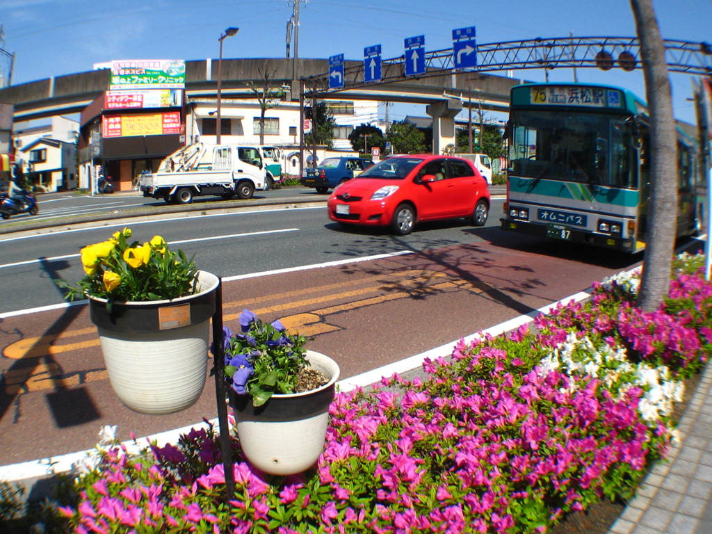 魚眼で見ると街の風景も一遍
