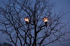 いつかの街灯・・・