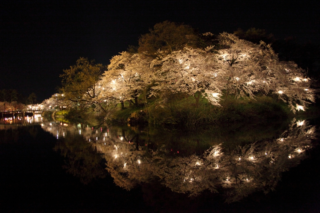 桜鏡