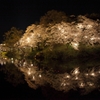 桜鏡