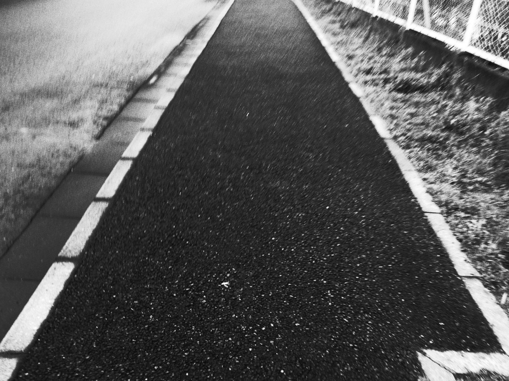 散歩道