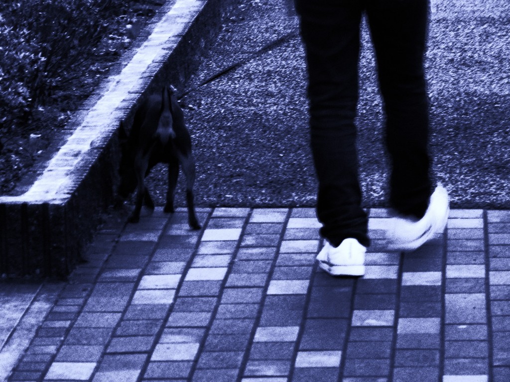 散歩