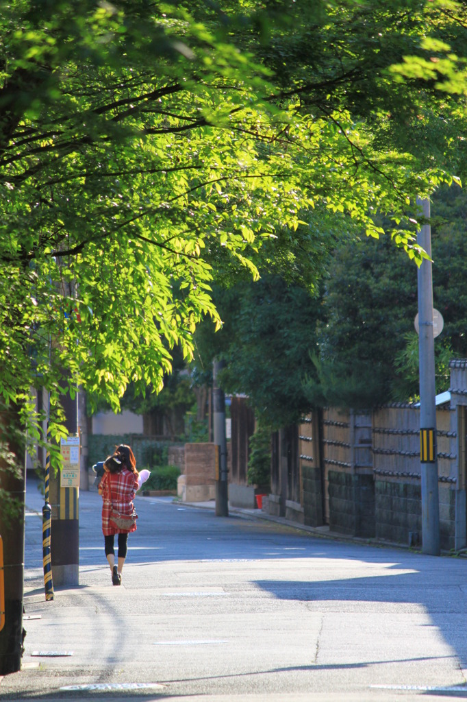 帰り道