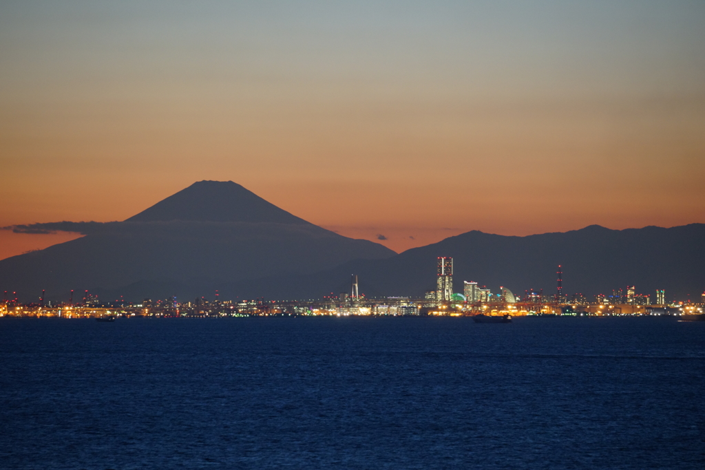 ライトアップされた横浜港と富士
