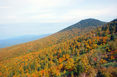 八甲田山紅葉