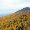 八甲田山紅葉