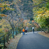 寸又峡の遊歩道