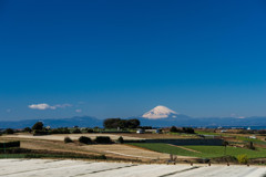 三浦半島から見る富士山