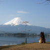 河口湖から見る富士