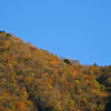 寸又峡の紅葉