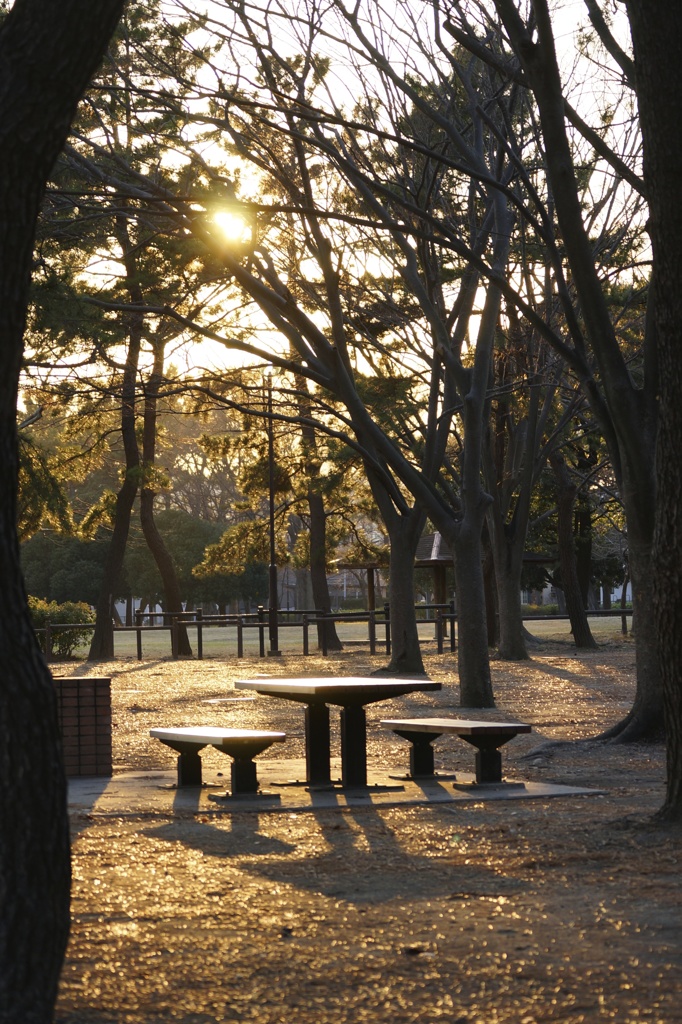夕方のベンチ