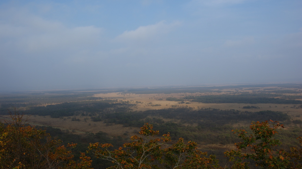 釧路湿原