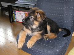 Ｒａｇ２３日目