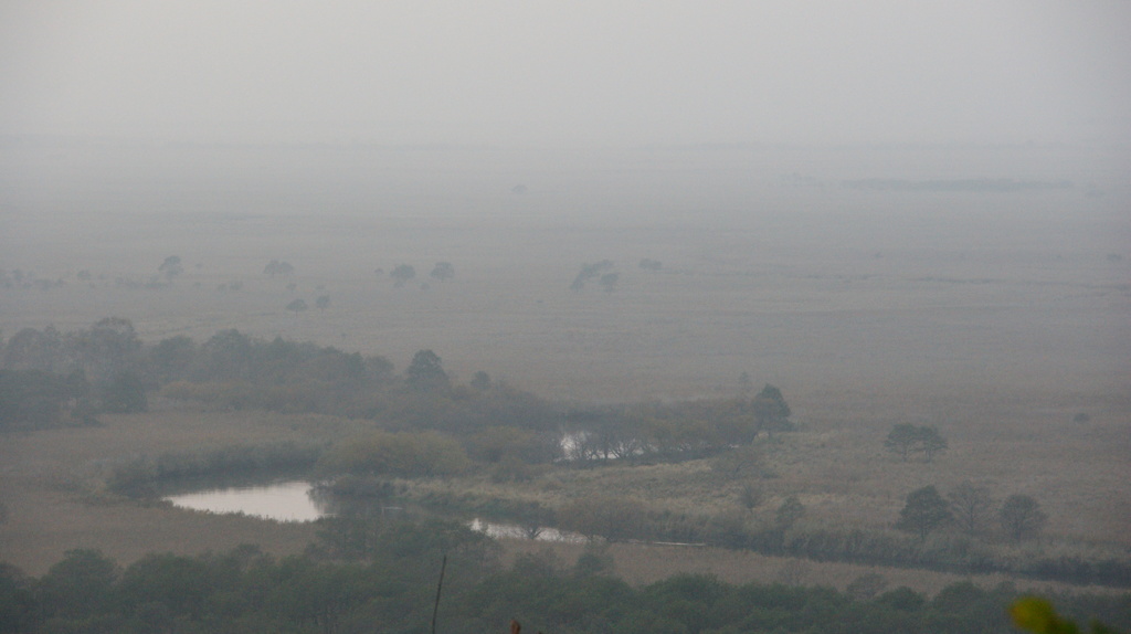 釧路湿原の眺望