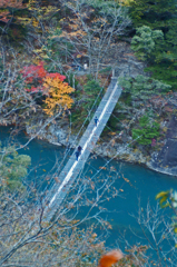 恐怖の吊り橋