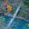恐怖の吊り橋