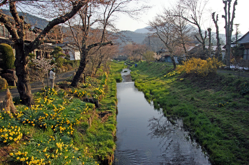 忍野の川