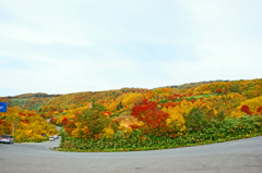 酸ヶ湯温泉近くの紅葉