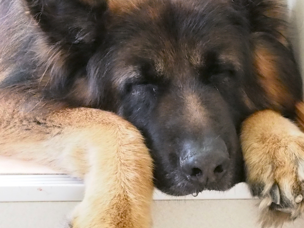 ＺＺＺＺ・・・