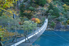 夢の吊り橋