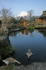 忍野八海