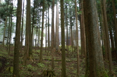 三峰神社