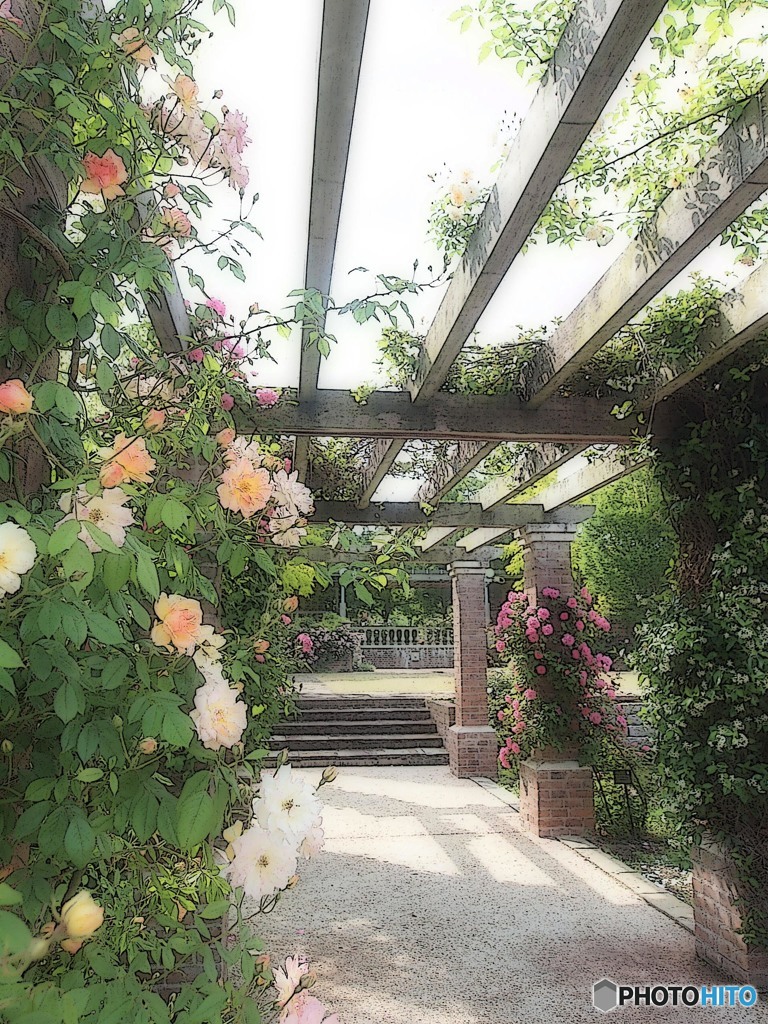 バラ庭園