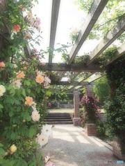 バラ庭園