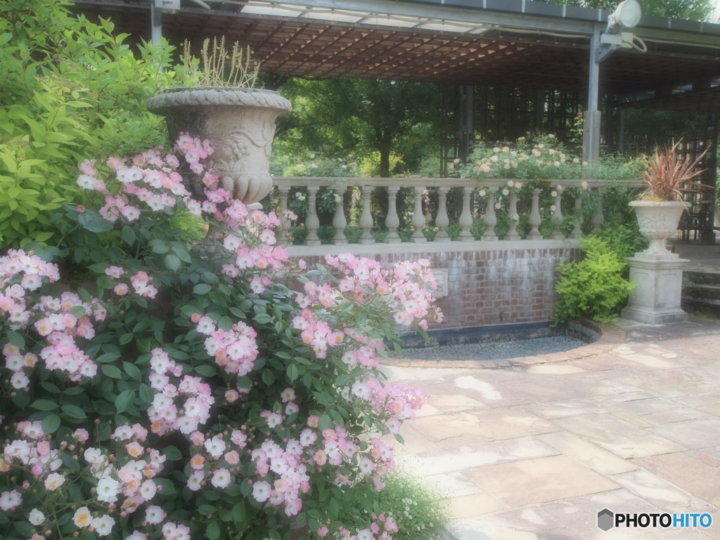 薔薇のある風景