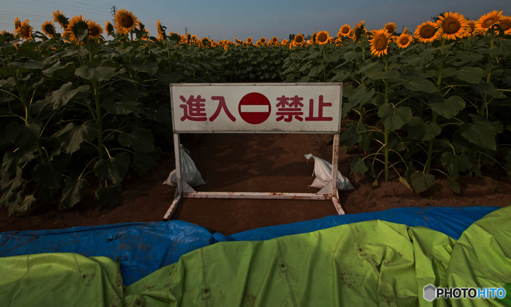 梅雨の出口