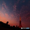 黄昏時に見つけたもの