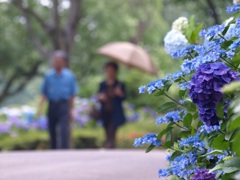 夫婦の距離感