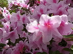 2010_0429_090101-R0013500