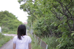 今日の散歩道。