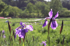 公園にて・・・