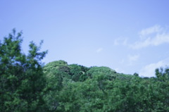 近所の公園